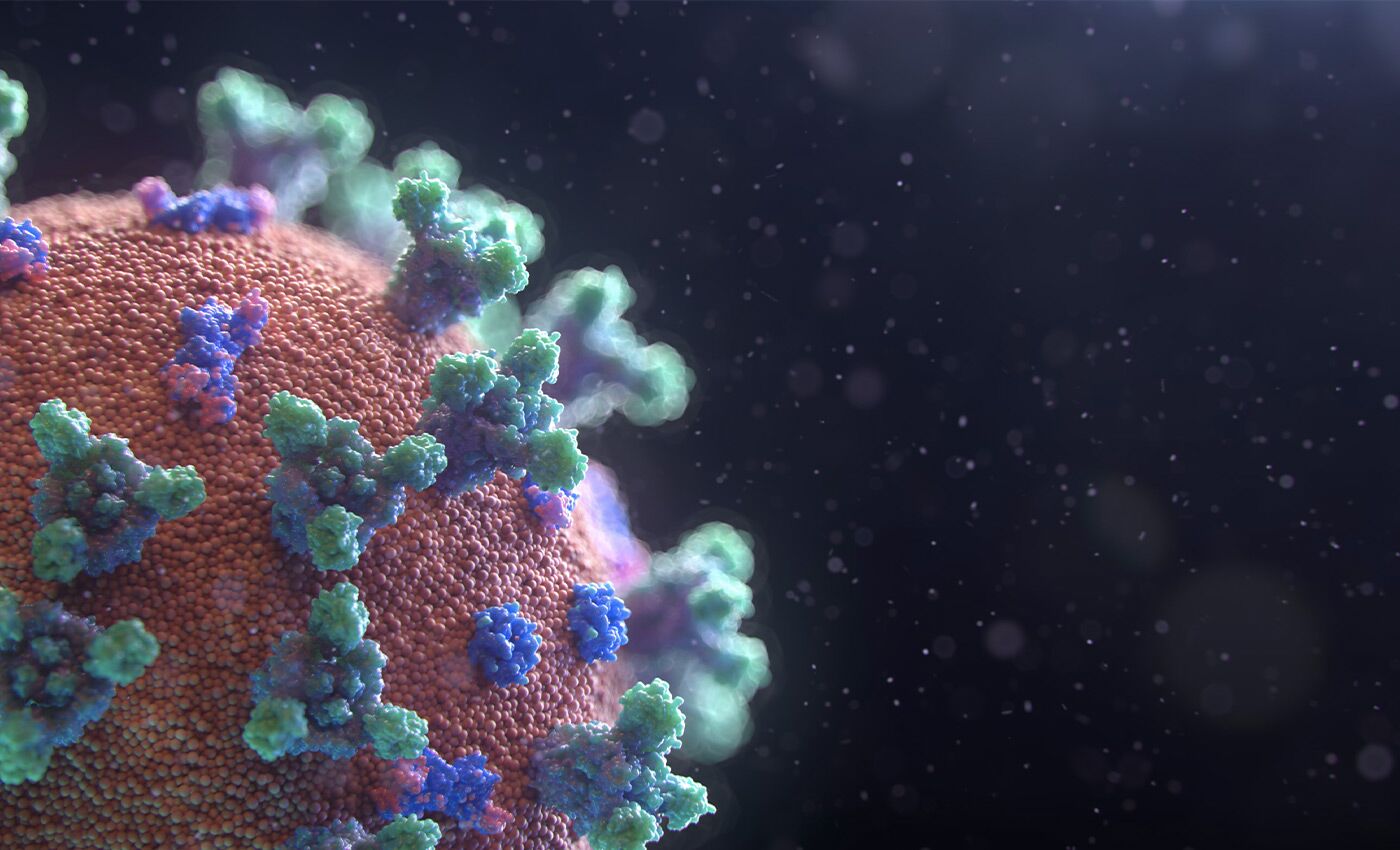 A virus model