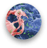 cytomegalovirus