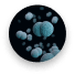 epstein-barr-virus