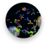 herpes-simplex