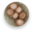 meningococcal-disease