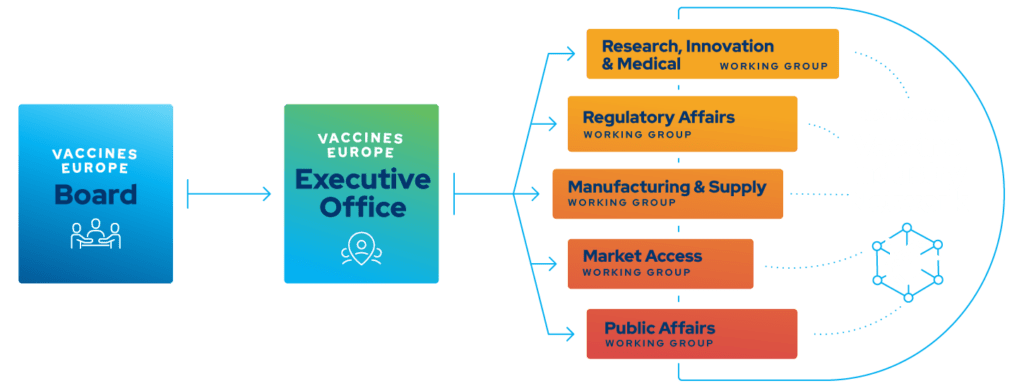 Vaccines Europe Structure