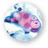 chlamydia
