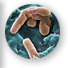 pseudomonas